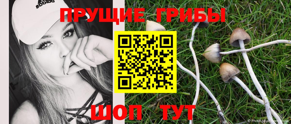 Галлюциногенные грибы Psilocybine cubensis  Вход с VPN  купить закладку  Минеральные Воды 