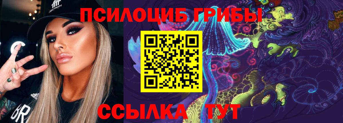 Галлюциногенные грибы мицелий Минеральные Воды